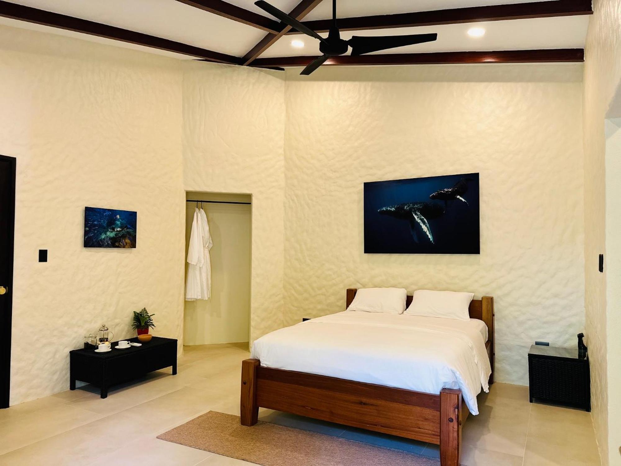 Corcovado Wilderness Lodge By Scp San Pedrillo Buitenkant foto