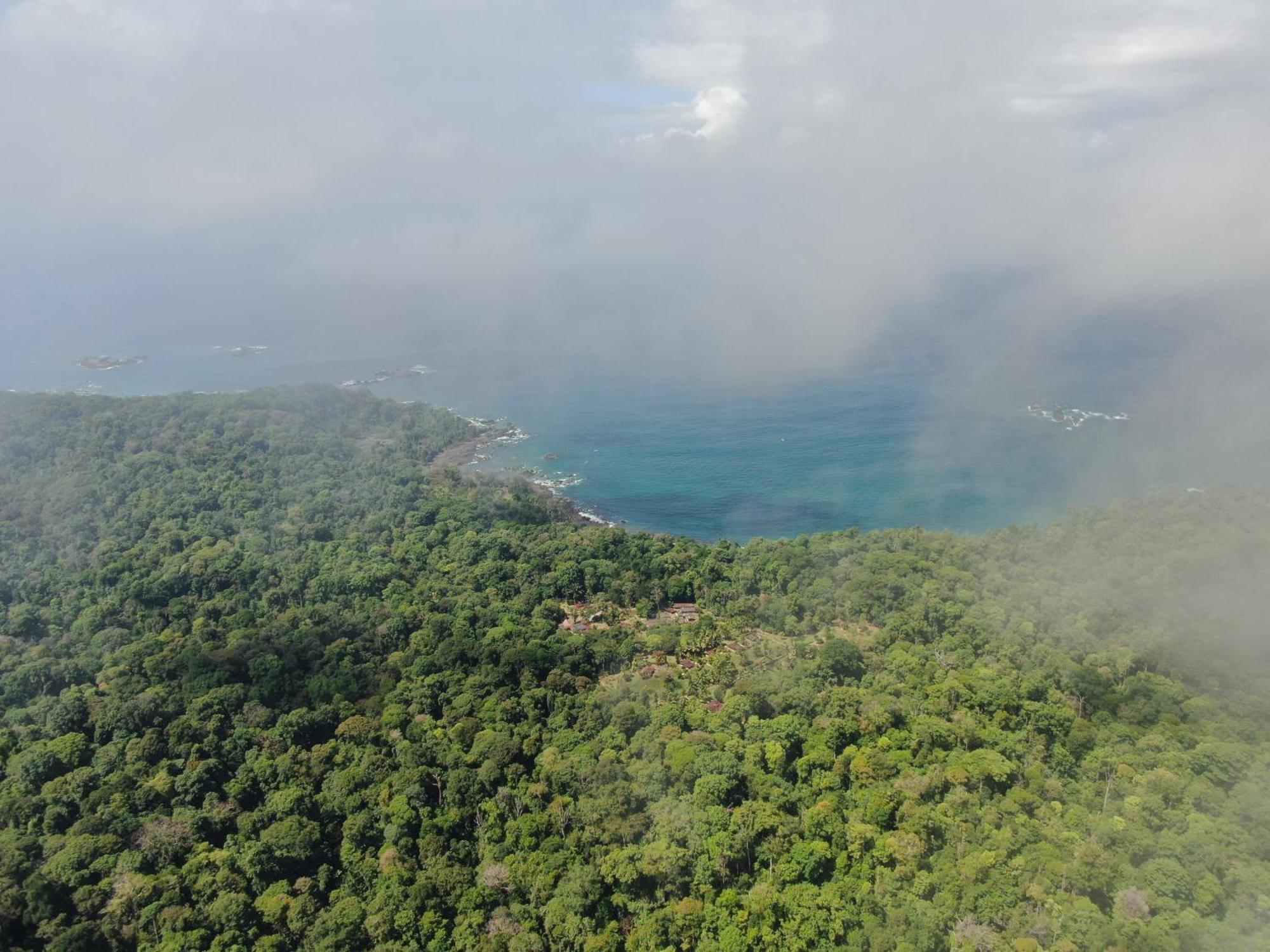 Corcovado Wilderness Lodge By Scp San Pedrillo Buitenkant foto