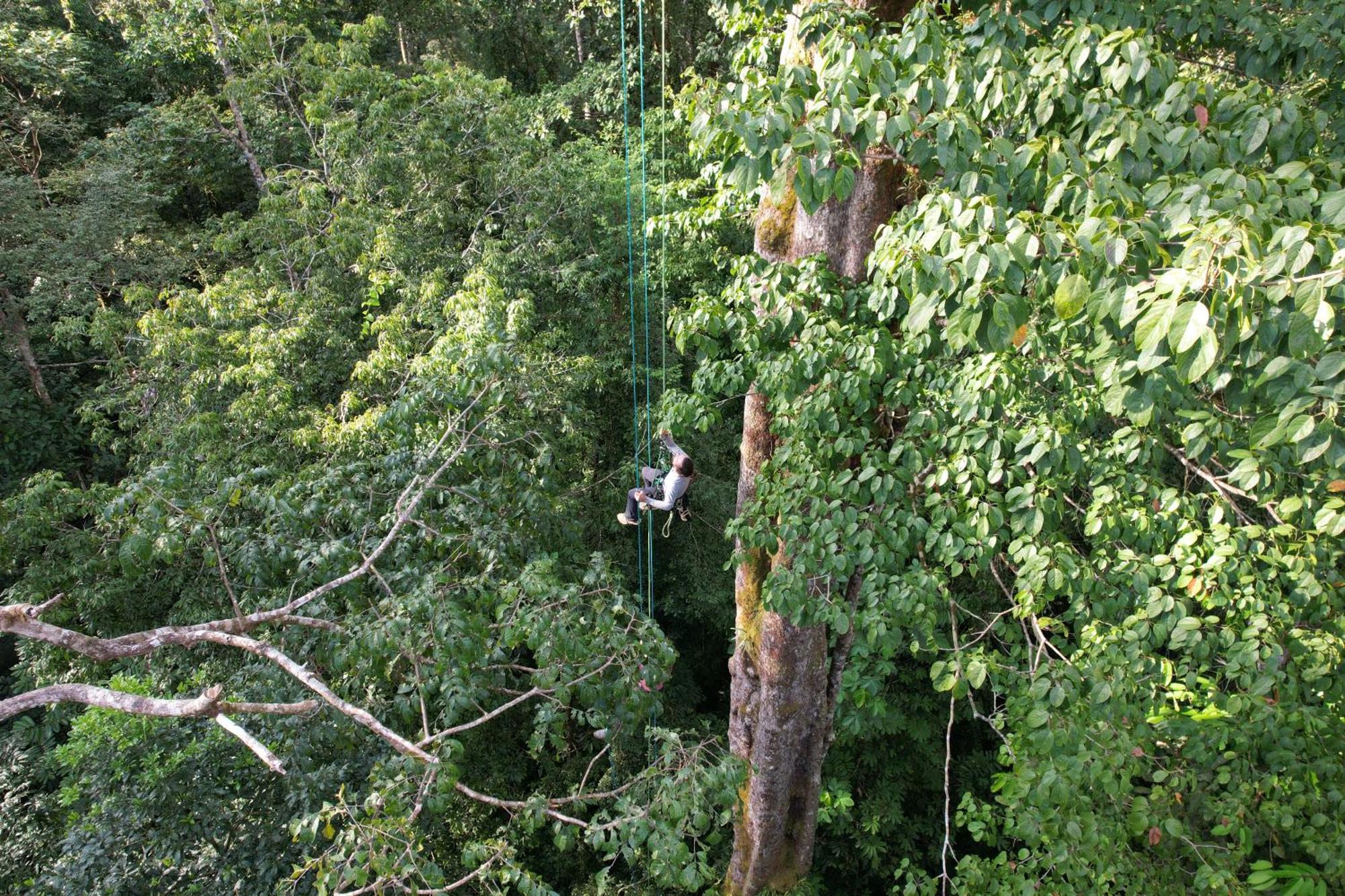 Corcovado Wilderness Lodge By Scp San Pedrillo Buitenkant foto