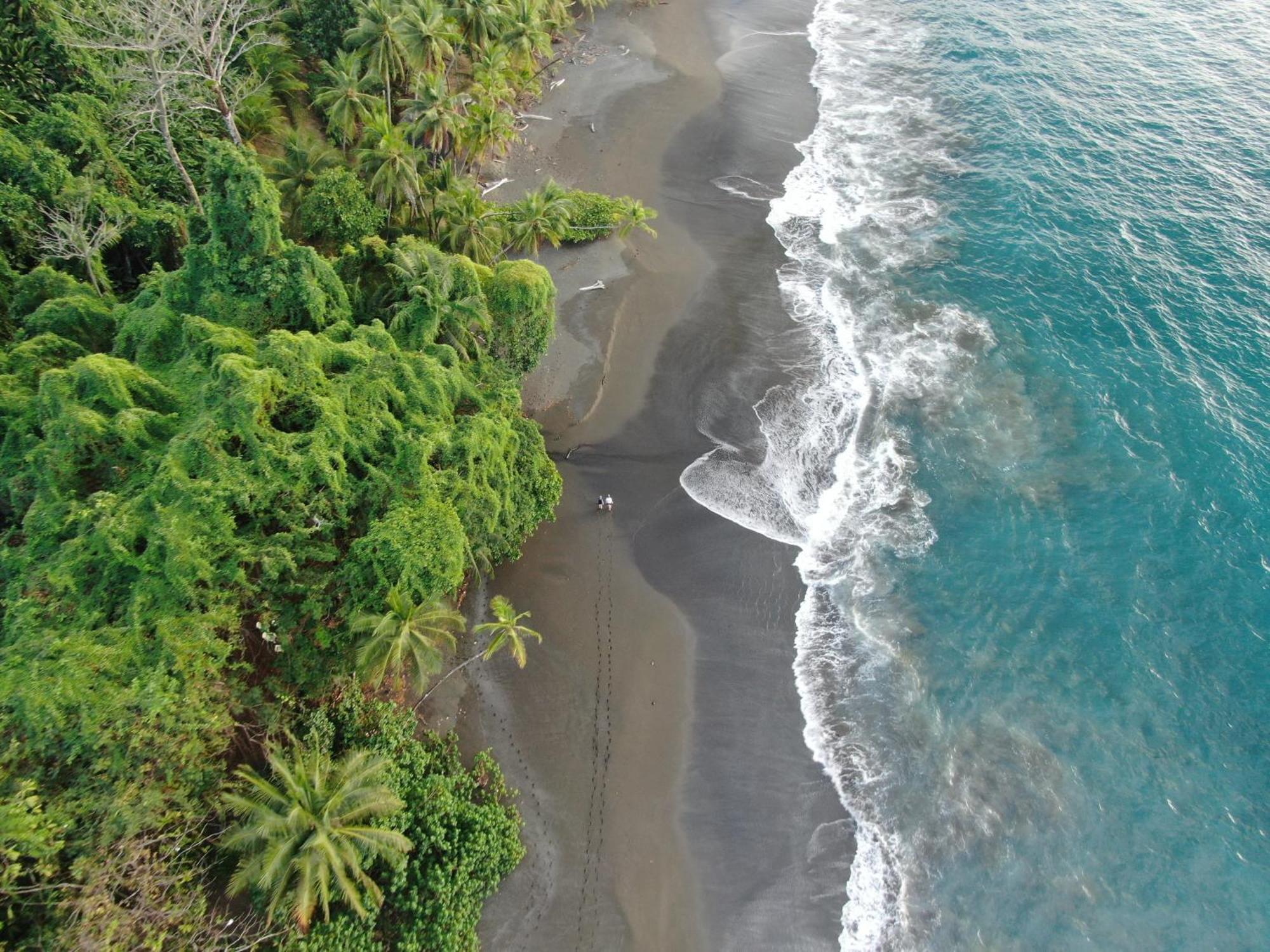 Corcovado Wilderness Lodge By Scp San Pedrillo Buitenkant foto