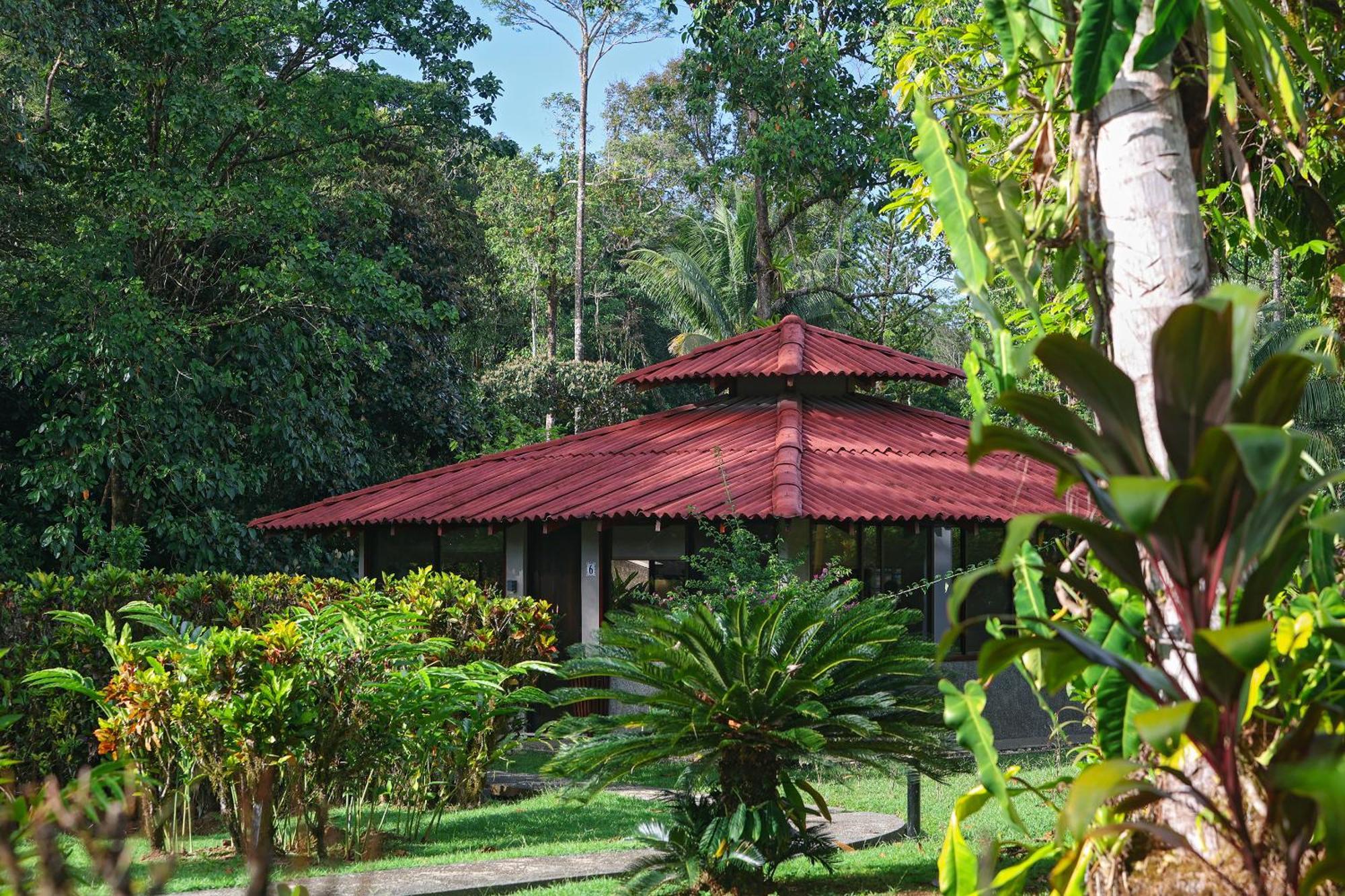 Corcovado Wilderness Lodge By Scp San Pedrillo Buitenkant foto